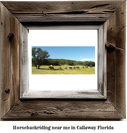 horseback riding near me in Callaway, Florida